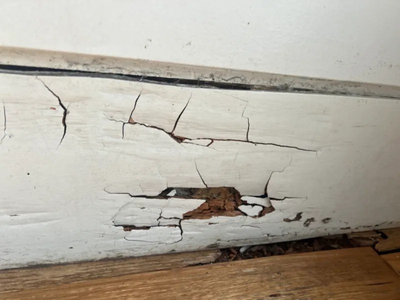 Severely deteriorated painted timber with cracking and exposed damaged wood