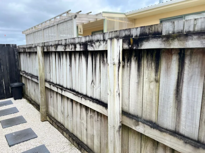 Exterior timber fence with heavy black and green biological growth